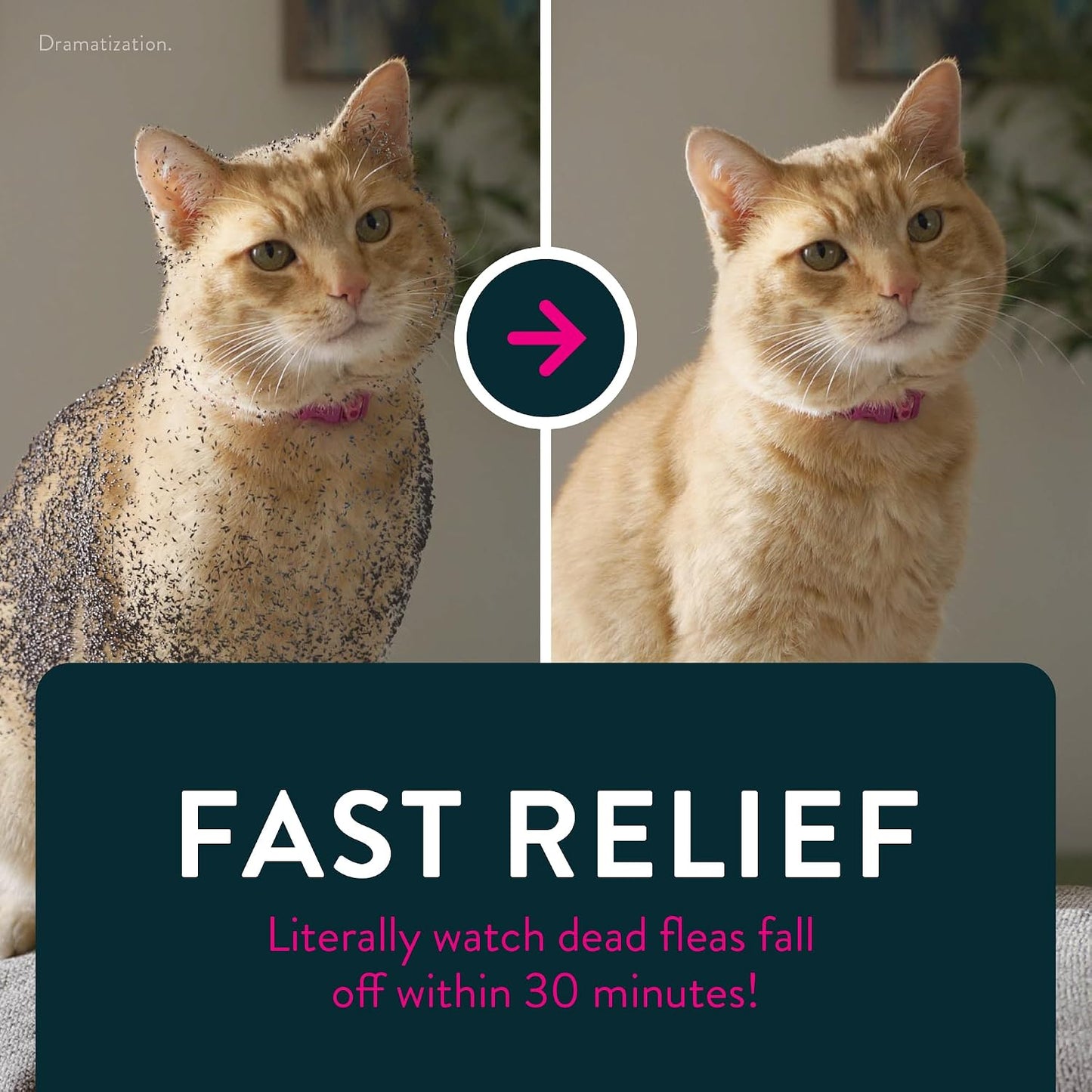 HOTCapstar (nitenpyram) Cat Flea Treatment, Fast-Acting Oral Flea Treatment for Cats 2-25 lbs, Vet-Recommended Medication Tablets Start Killing in 30 Minutes, 6 Doses