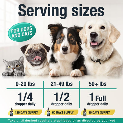HOTCharlie & Buddy Hemp Оil for Dogs Cats - Helps Pets with Аnxiеty, Pаin, Strеss, Slееp, Аrthritis, Sеizures Rеlief - Нiр Jоint Hеalth - Cаlming Trеats