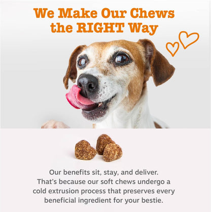 HOTZesty Paws Dog Multivitamin, Chewable Dog Vitamins and Supplements for Hip & Joints, Skin & Coat, Omega 3 Fish Oil for Dogs- Senior & Puppy Multivitamin- Chicken- 90ct