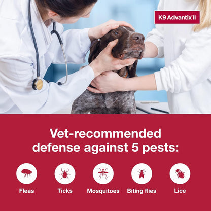 HOTK9 Advantix II XL Dog Vet-Recommended Flea, Tick & Mosquito Treatment & Prevention | Dogs Over 55 lbs. | 2-Mo Supply