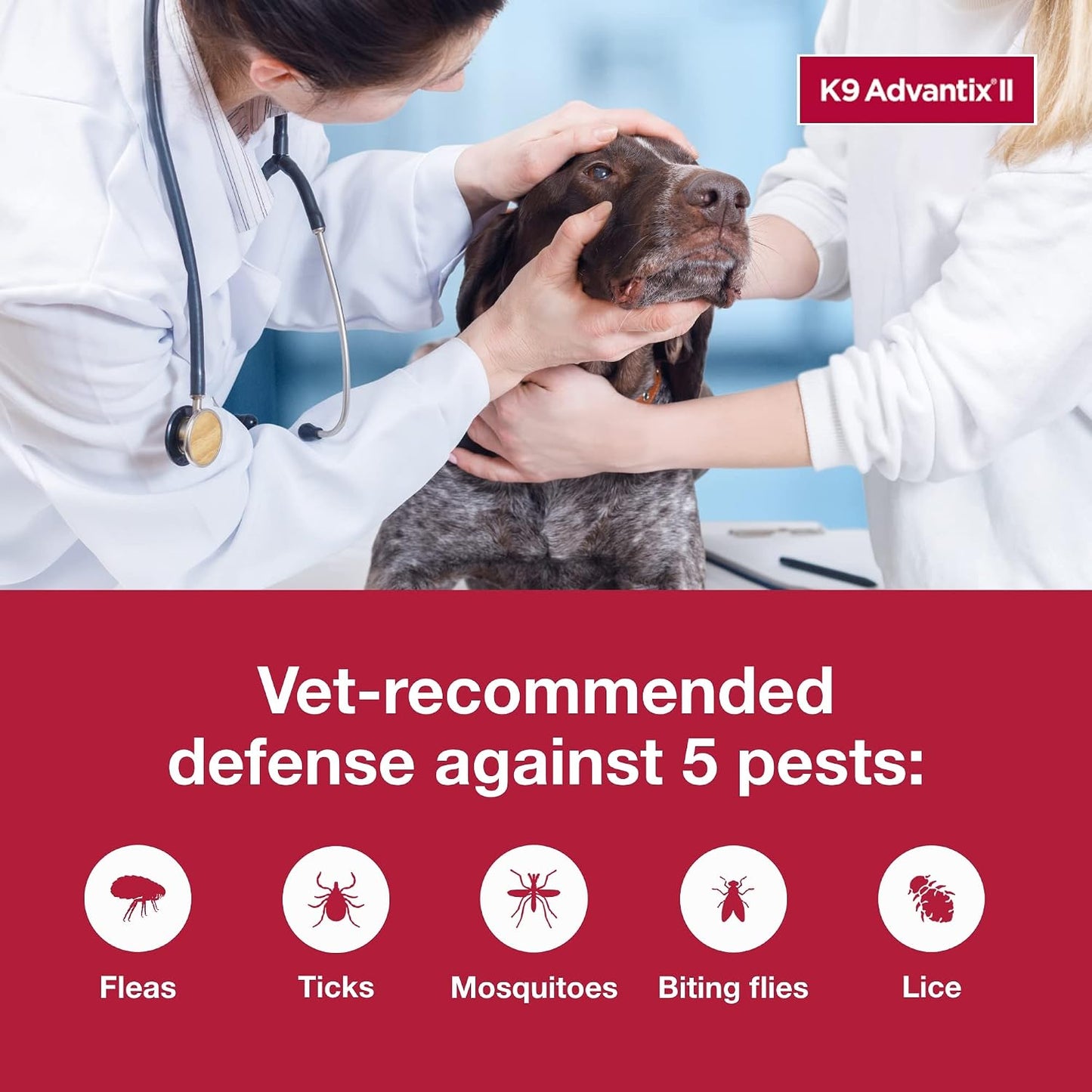 HOTK9 Advantix II XL Dog Vet-Recommended Flea, Tick & Mosquito Treatment & Prevention | Dogs Over 55 lbs. | 6-Mo Supply
