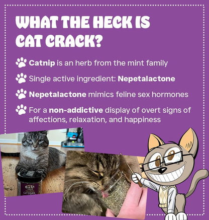 HOTCat Crack Catnip, Zoomie-Inducing Cat Nip, 100% Natural North American Made | 100% Natural, Safe & Non-Addictive Catnip Treats Used to Supplement Cat Nip Toys, Spray, & Accessories (1 Cup)