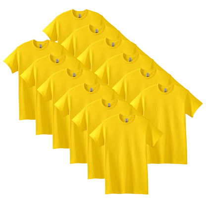 HOTGildan Adult Heavy Cotton T-Shirt, Style G5000