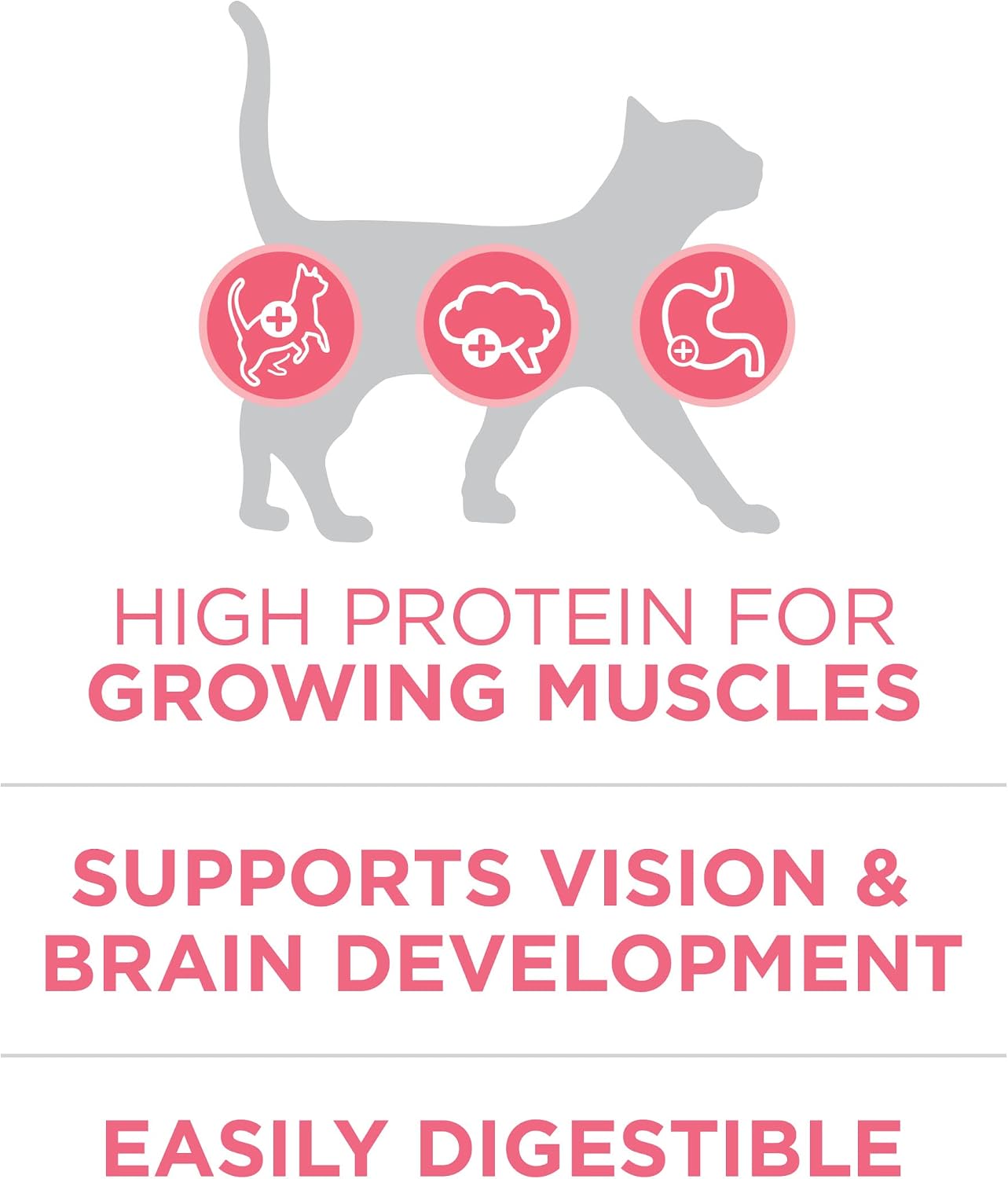 HOTPurina ONE High Protein, Natural Dry Kitten Food, +Plus Healthy Kitten Formula - 7 lb. Bag