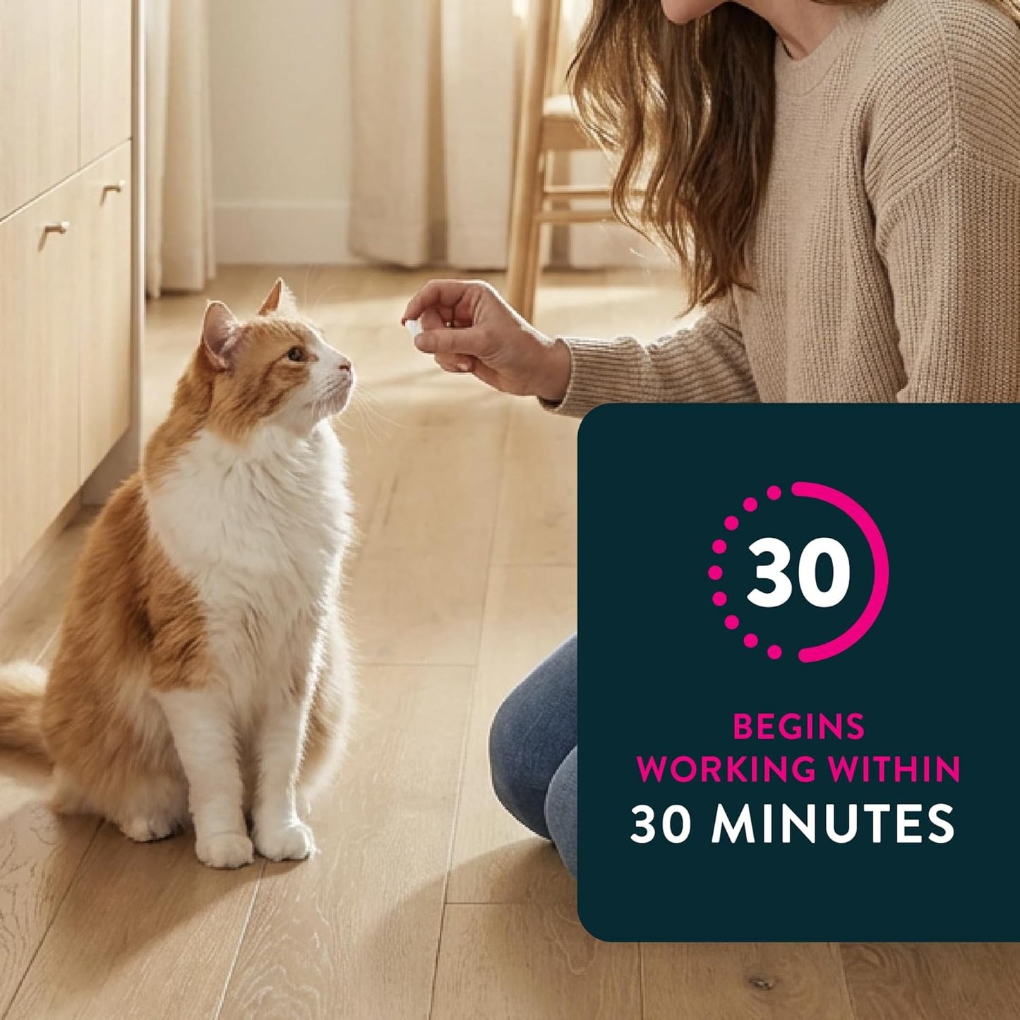 HOTCapstar (nitenpyram) Cat Flea Treatment, Fast-Acting Oral Flea Treatment for Cats 2-25 lbs, Vet-Recommended Medication Tablets Start Killing in 30 Minutes, 6 Doses