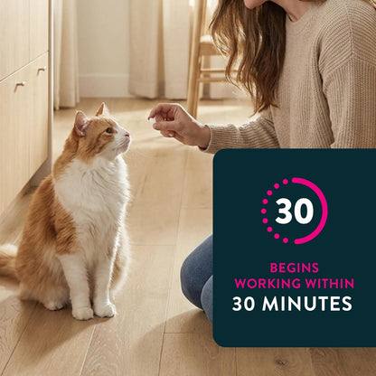 HOTCapstar (nitenpyram) Cat Flea Treatment, Fast-Acting Oral Flea Treatment for Cats 2-25 lbs, Vet-Recommended Medication Tablets Start Killing in 30 Minutes, 6 Doses