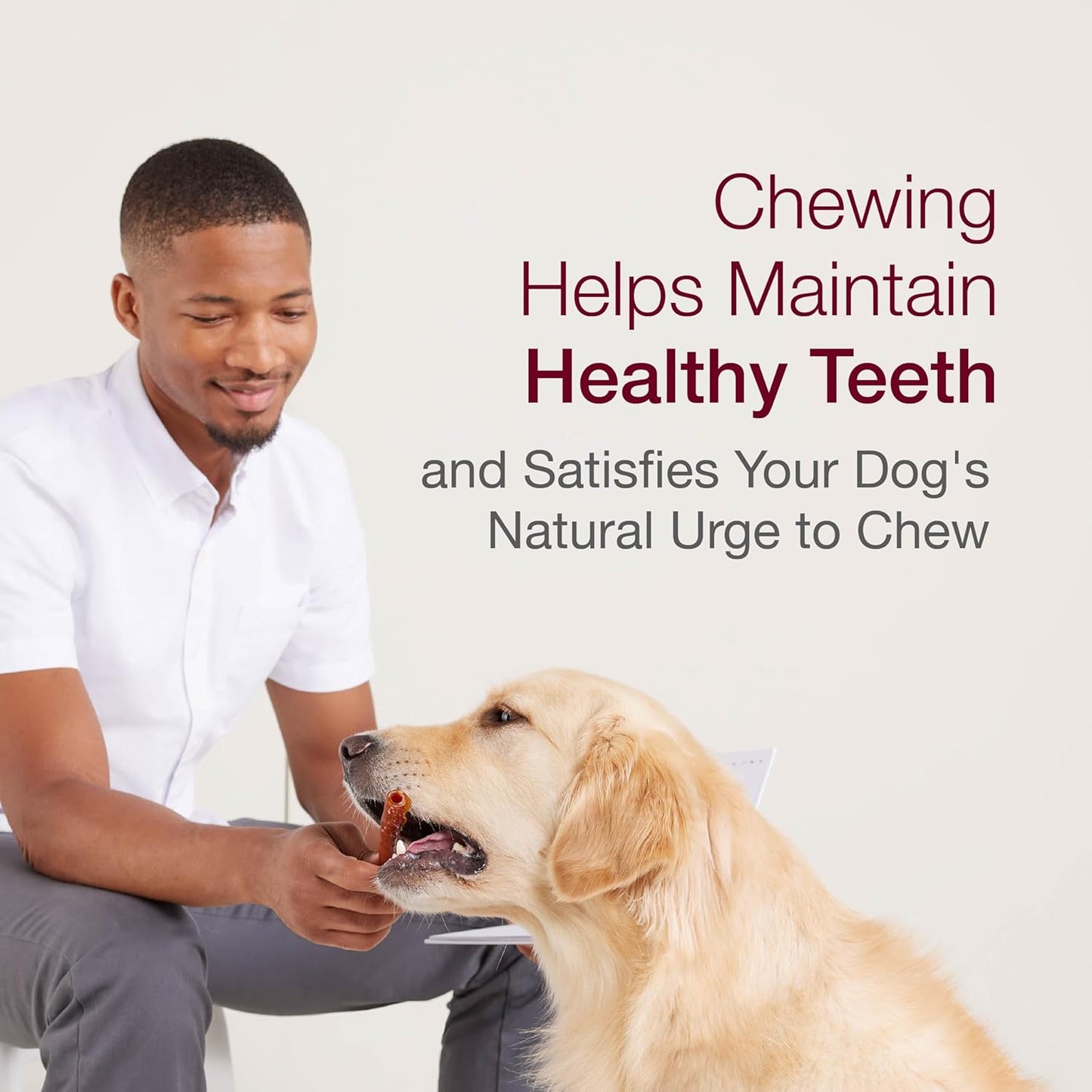 HOTSmartBones Smart Twist Sticks With Peanut Butter, Rawhide-Free Chews For Dogs, 50 Count