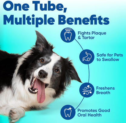HOTC.E.T. Enzymatic Toothpaste for Dogs and Cats, Vanilla Mint, 2.5oz | Plaque and tartar control for fresh breath, pet dental care toothpaste, Dual enzyme system, vanilla mint flavored toothpaste
