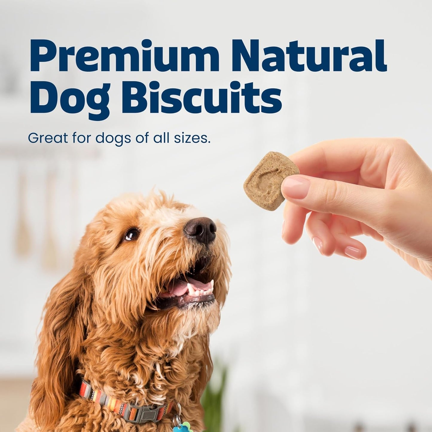 HOTBlue Buffalo Health Bars Apples & Yogurt Crunchy Dog Biscuits, Oven-Baked with Real Apples & Natural Ingredients, Healthy Dog Treats with No Artificial Flavors or Preservatives, Jumbo Box 3.5 lbs.