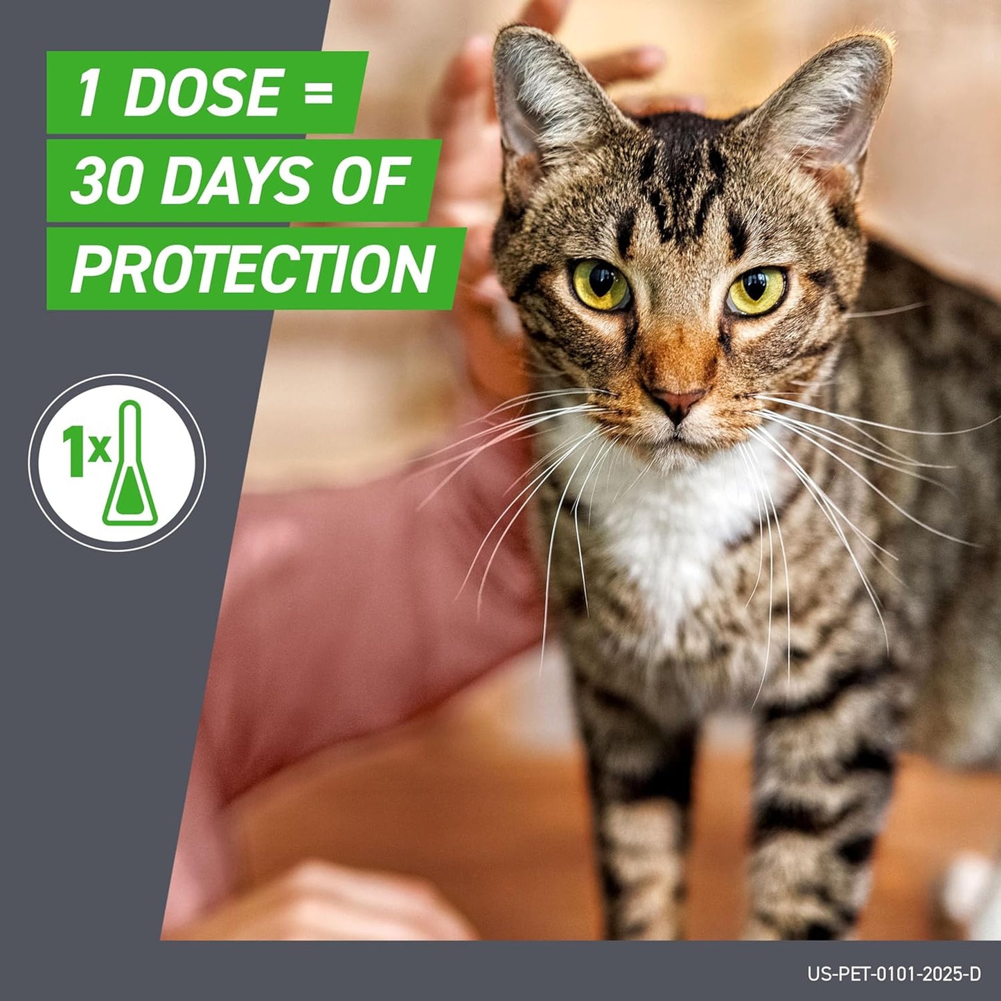 HOTFRONTLINE Plus Flea & Tick Spot Treatment for Cat & Kitten (Green) Count of 6 | #1 name in flea and tick protection,¹ kills fleas, ticks & chewing lice, waterproof 24 hr, monthly application