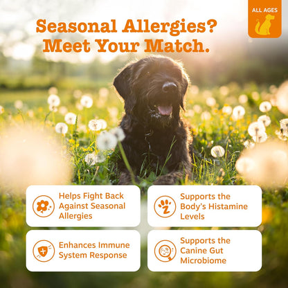 HOTZesty Paws Dog Allergy Relief Chews, Dog Probiotics for Itchy Skin and Ears, Salmon, 90ct