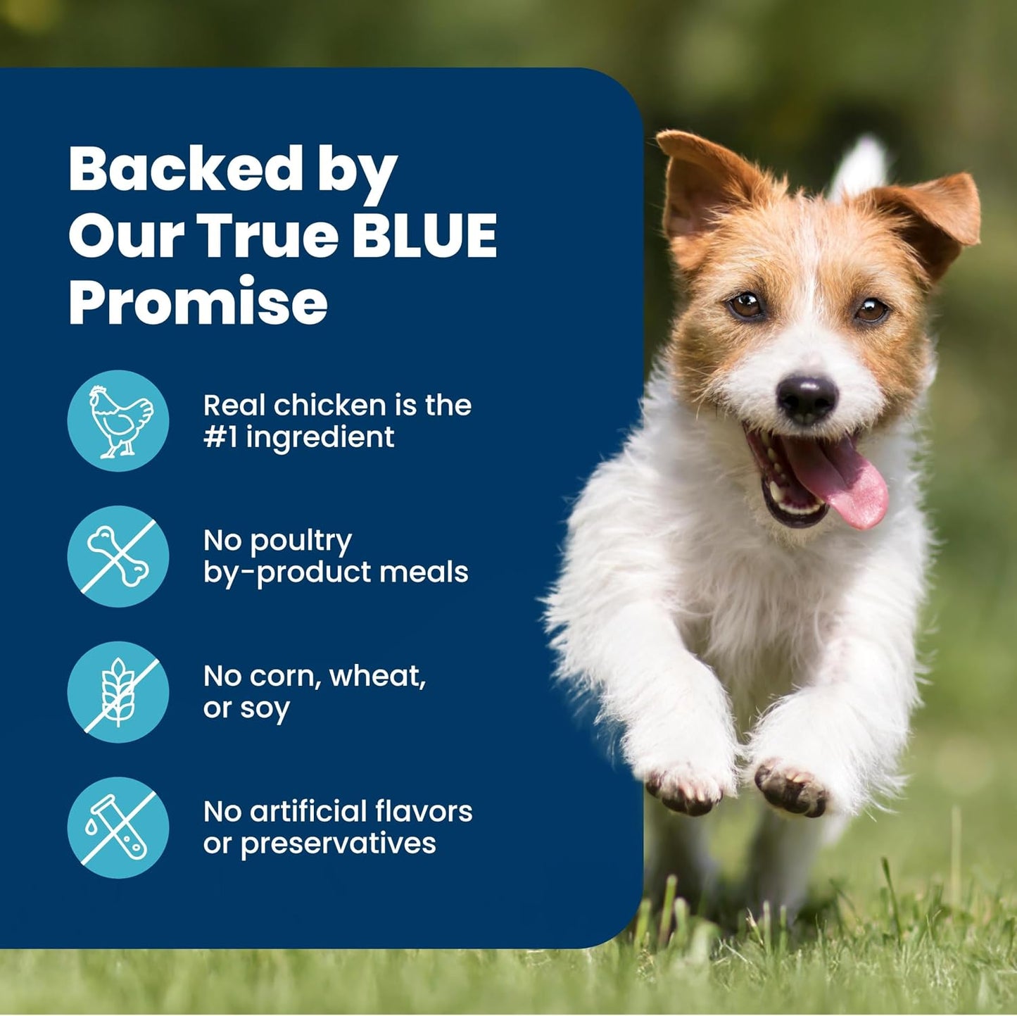 HOTBlue Buffalo Life Protection Formula Chicken Small Breed Dry Dog Food, 15lb | Real Chicken #1 Ingredient, Antioxidant-Rich LifeSource Bits, Supports Higher Energy Needs, Formulated for Small Breed Dogs
