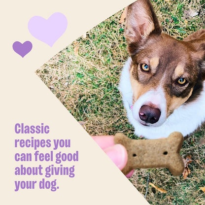 HOTWellness Old Mother Hubbard Classic P-Nuttier Dog Biscuits, Natural Training Treats, Peanut Butter Flavor, Mini Size, 6 lb Box