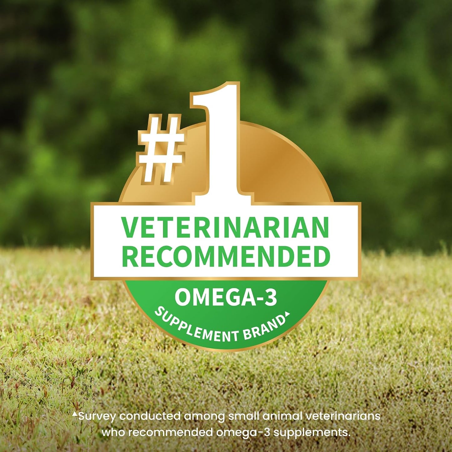 HOTNutramax Welactin Omega 3 Fish Oil for Dogs, Skin and Coat Health Supplement, Plus Joint, Immune, Kidney, and Brain Support, Premium Omega 3 Fatty Acids, For Dogs, 16 Ounce Liquid