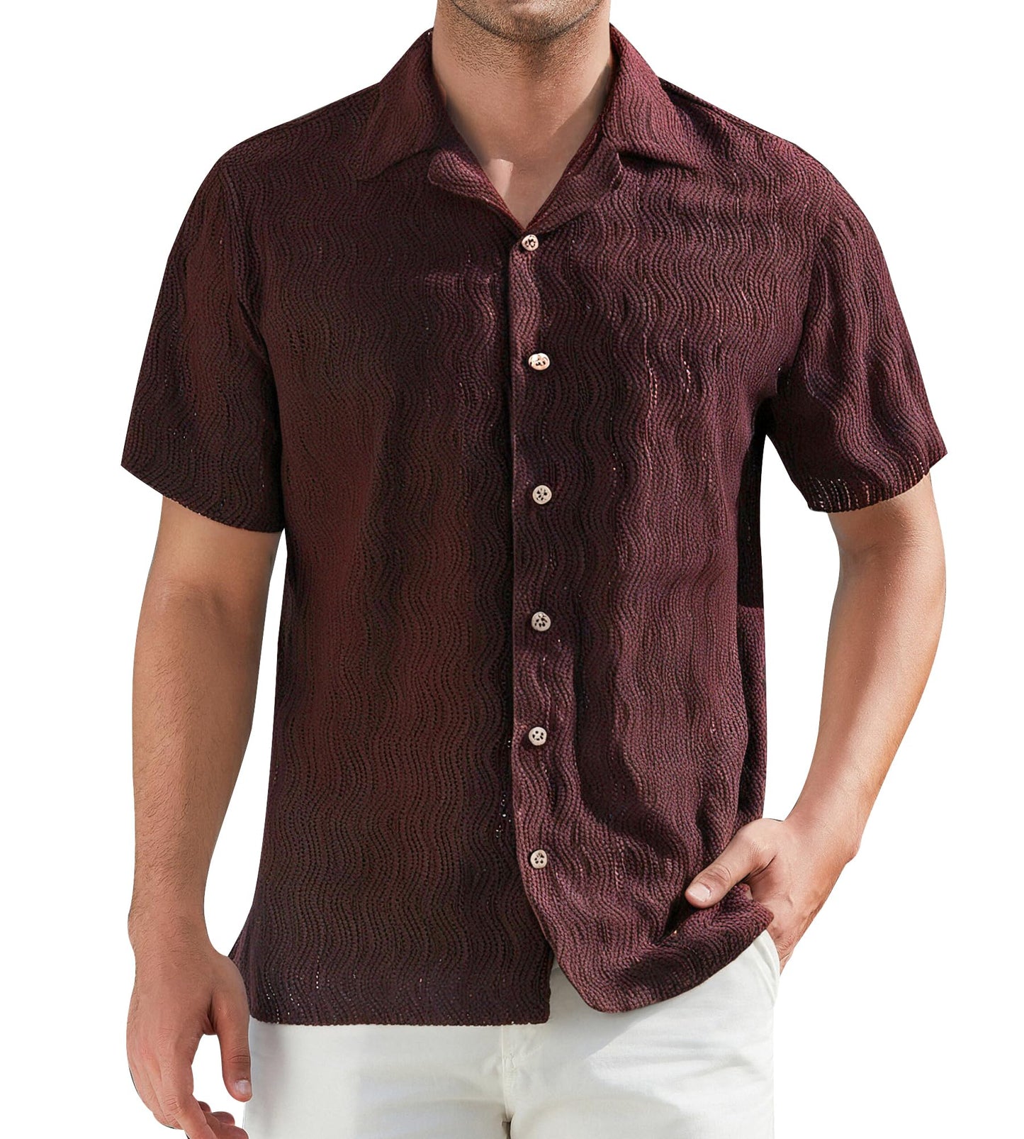 HOTDamipow Mens Casual Button Down Shirts Short Sleeve Fashion Vacation Beach Shirts