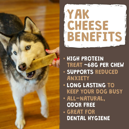 HOTMighty Paw Yak Cheese Dog Chews – All-Natural Long Lasting Hard Chew for Aggressive Chewers – High Protein, Odor-Free Dog Treat – 3 Ingredient Natural Yak Chews for Large Dogs – (4 Pack)