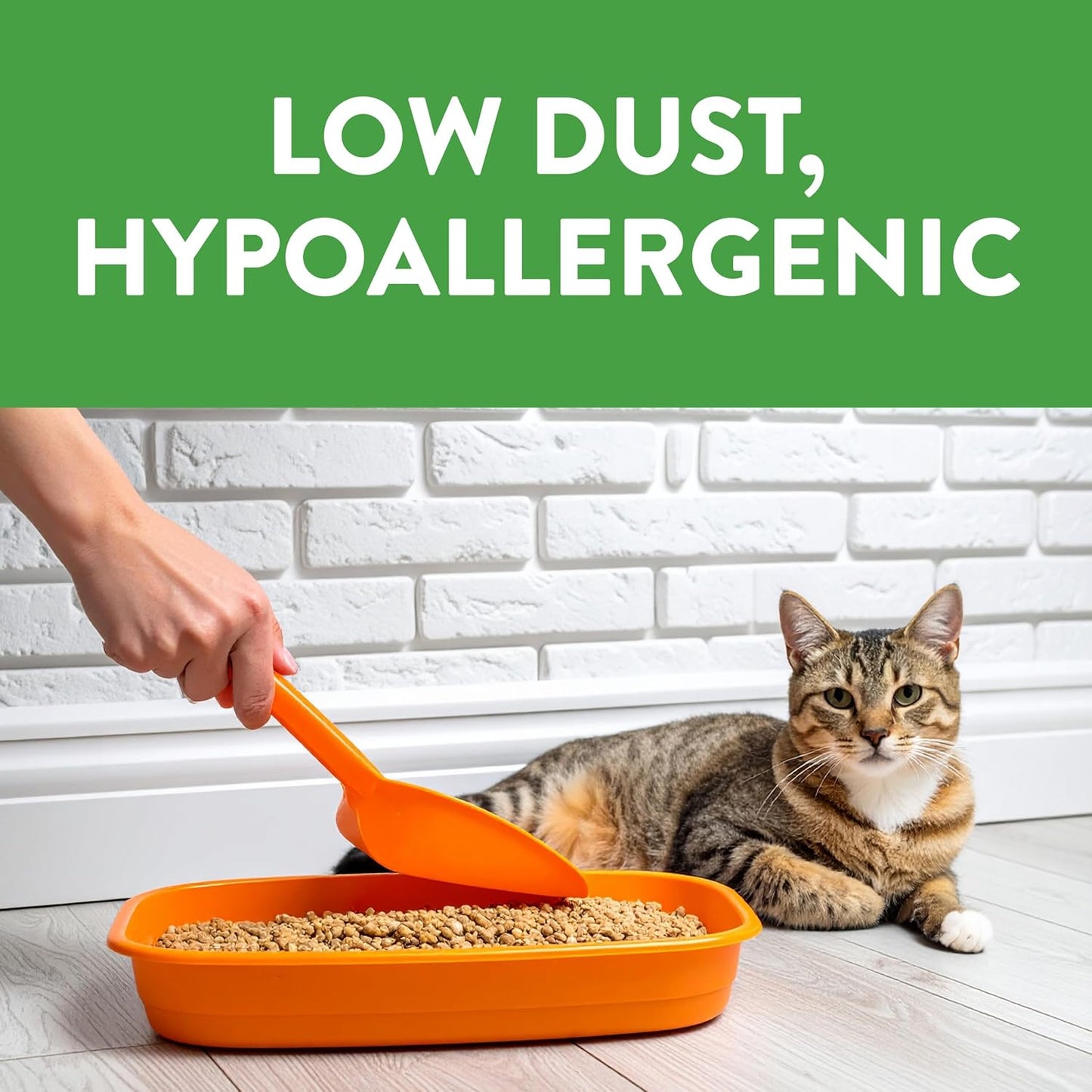 HOTFeline Pine Platinum Non-Clumping Cat Litter 17lb | Plant-Based Cat Litter, Natural Odor Control, Low Dust Cat litter, Unscented Formula, Lightweight & Low Dust
