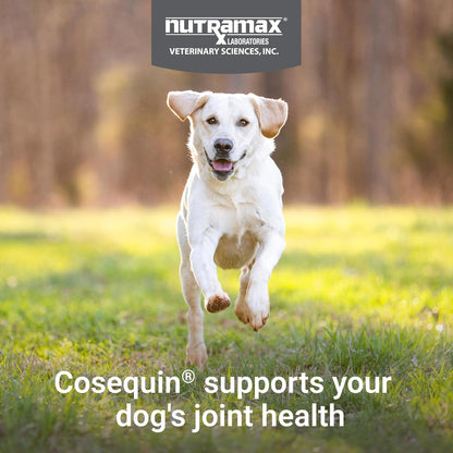 HOTNutramax Cosequin Joint Supplement for Dogs, Skin & Coat, Soft Chews,120ct | Glucosamine & Chondroitin for Dogs with MSM, Omega-3s, Supports Joints, Skin and Coat Health, All Ages & Sizes