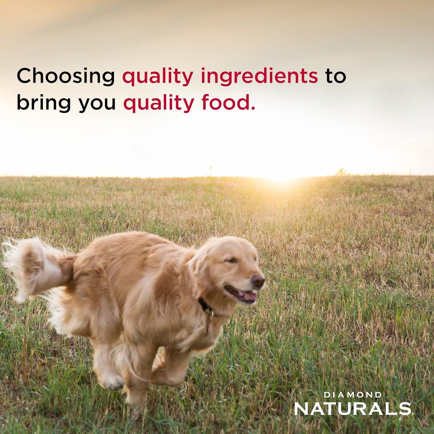 HOTDiamond Naturals Skin & Coat Puppy, Adult & Senior Dry Dog Food Salmon 30lb | Real Salmon & Potato | Omega Fatty Acids Help Support Healthy Skin & Shiny Coat | Guaranteed Probiotics & Superfoods