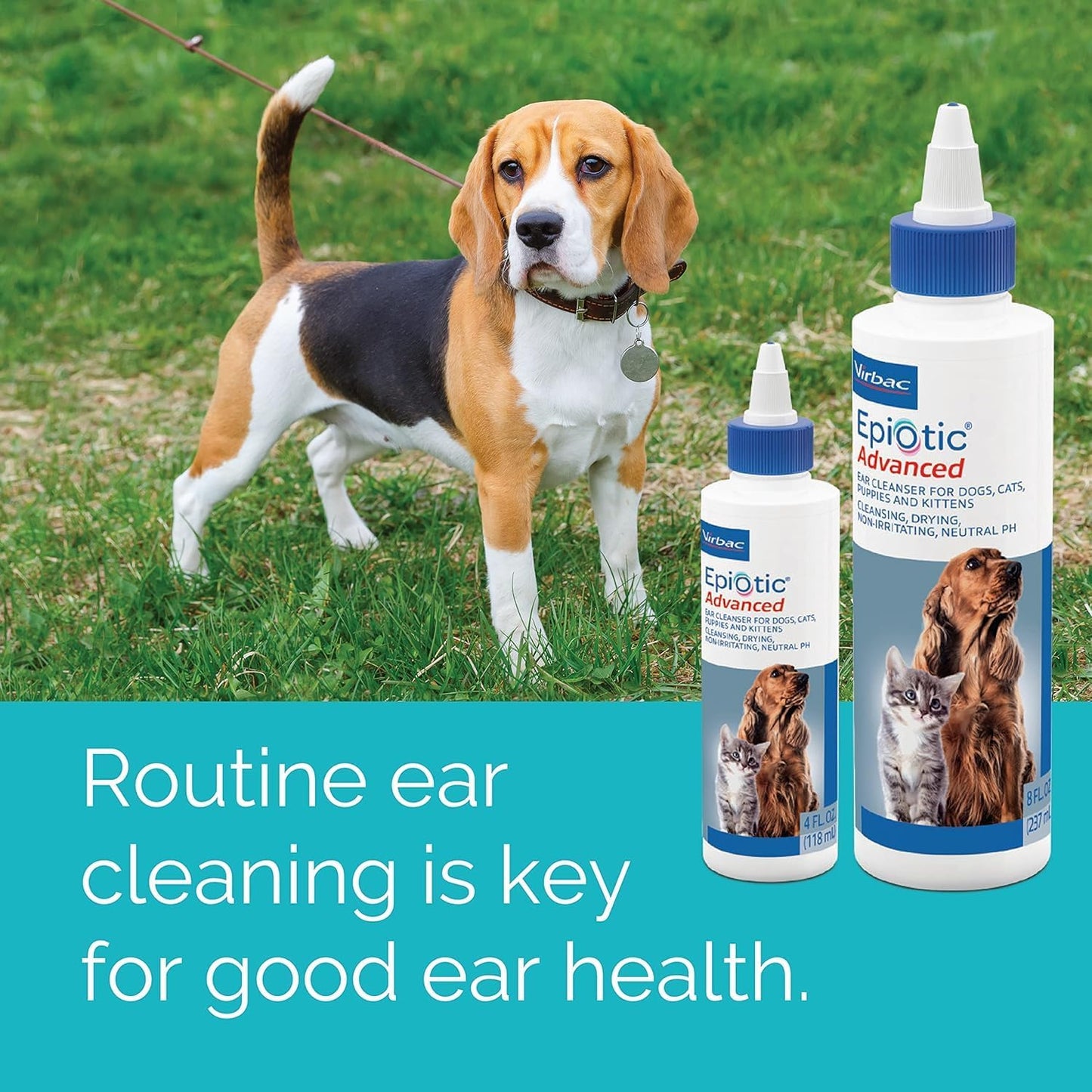 HOTEpiotic Advanced Ear Cleanser|Gentle Ear Cleanser for Dogs and Cats | Neutral pH routine dog ear wash and cat ear cleaner dries wet ears, cleanses wax & debris to smell fresh and clean