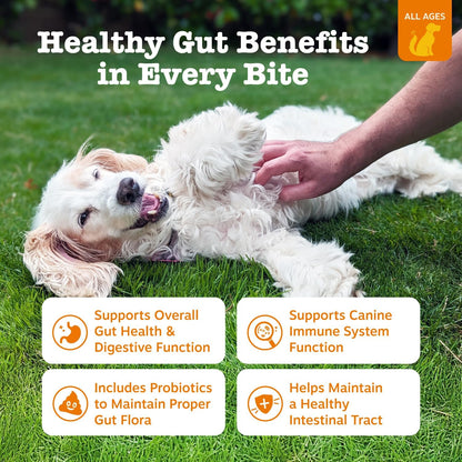 HOTZesty Paws Probiotics for Dogs - Digestive Enzymes for Gut Flora, Digestive Health, Diarrhea & Bowel Support - Clinically Studied DE111 - Dog Supplement Soft Chew for Pet Immune System - Pumpkin, 90ct