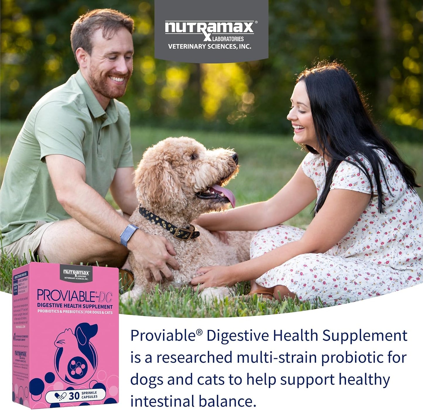 HOTNutramax Proviable Probiotics for Dogs and Cats, Daily Digestive Health Supplement with Multiple Strains of Bacteria, Cat and Dog Probiotics Plus Prebiotics, 30 Capsules