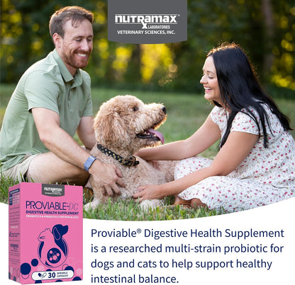 HOTNutramax Proviable Probiotics for Dogs and Cats, Daily Digestive Health Supplement with Multiple Strains of Bacteria, Cat and Dog Probiotics Plus Prebiotics, 30 Capsules