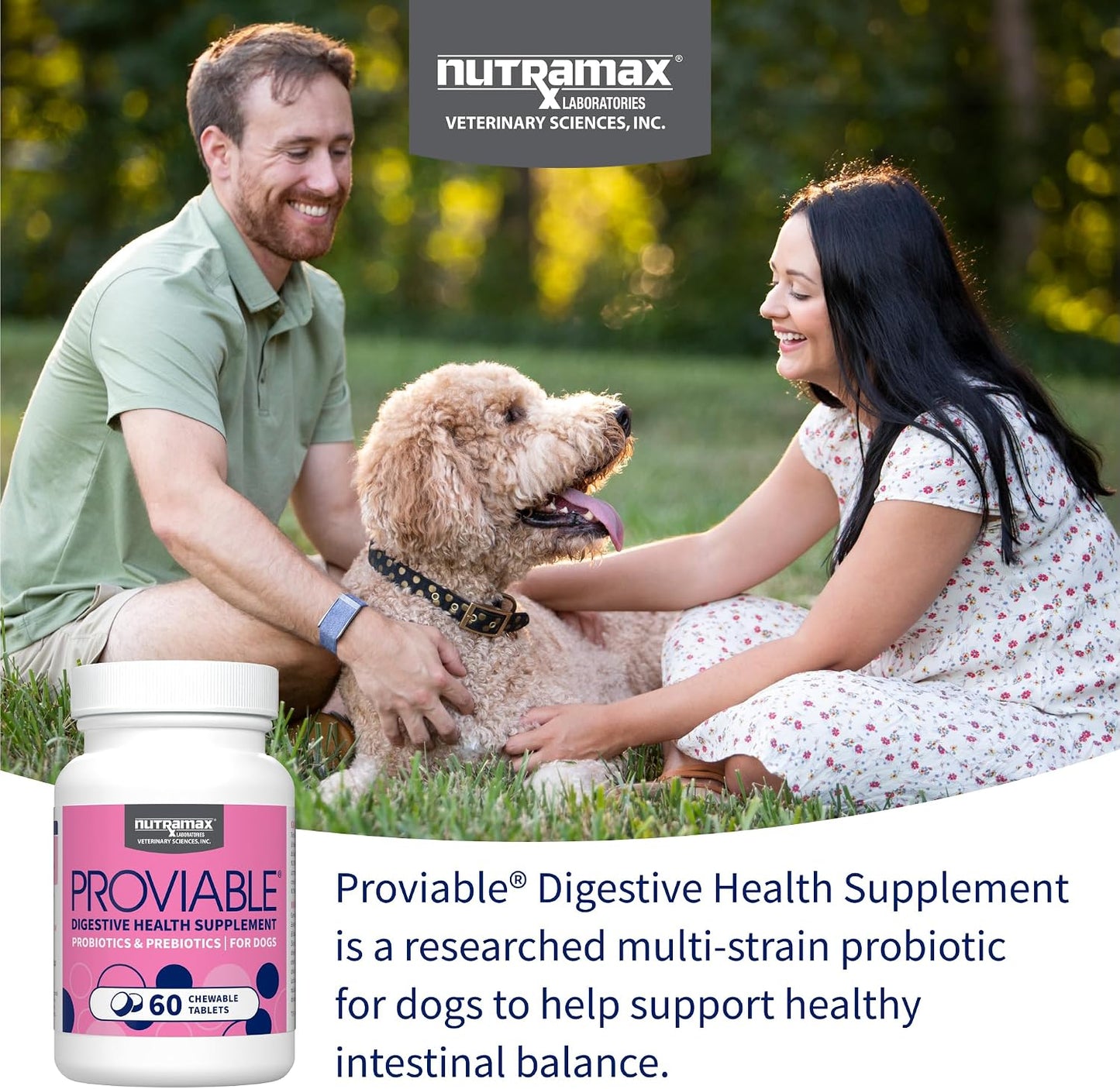 HOTNutramax Proviable Probiotics for Dogs, Daily Digestive Health Supplement with Multiple Strains of Bacteria, Dog Probiotics Plus Prebiotics, 60 Chewable Tablets