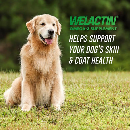 HOTNutramax Welactin Omega 3 Fish Oil for Dogs, Skin and Coat Health Supplement, Plus Joint, Immune, Kidney, and Brain Support, Premium Omega 3 Fatty Acids, For Dogs, 16 Ounce Liquid