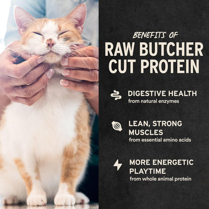 HOTVital Essentials Freeze Dried Minnows Cat Treats, 1.0 oz Bag | Single Ingredient, Premium Quality Protein, Grain Free, Healthy Treats, USA Made with U.S. & Globally Sourced Ingredients