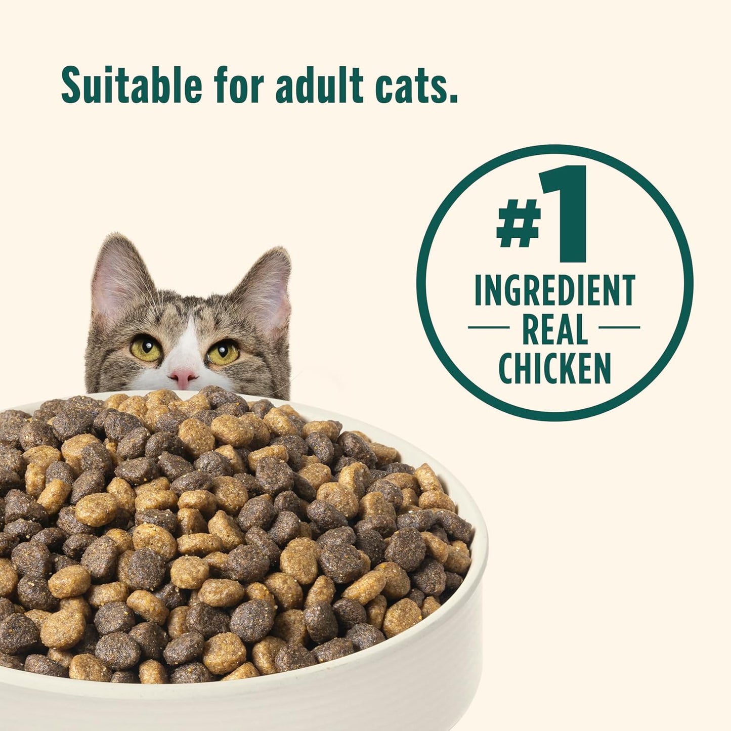 HOTNutrish Indoor Complete Chicken, Lentils & Salmon Recipe Dry Cat Food, 6 lb. Bag, Packaging May Vary (Rachael Ray)