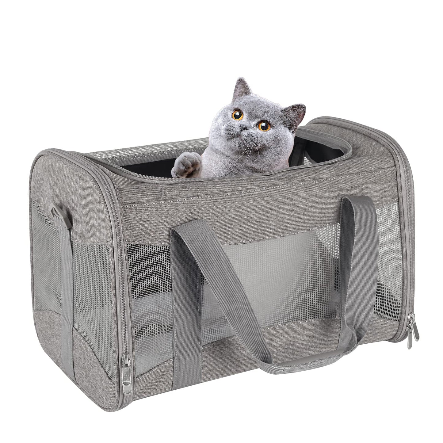HOTCat Dog Carriers Soft-Sided Pet Carrier Large Cats for Medium Big Cat Small Dog Puppy up to 16lbs TSA Airline Approved Animal Collapsible Cat Carrier Carriers Travel Carrier Cat Bag (17x11x11)