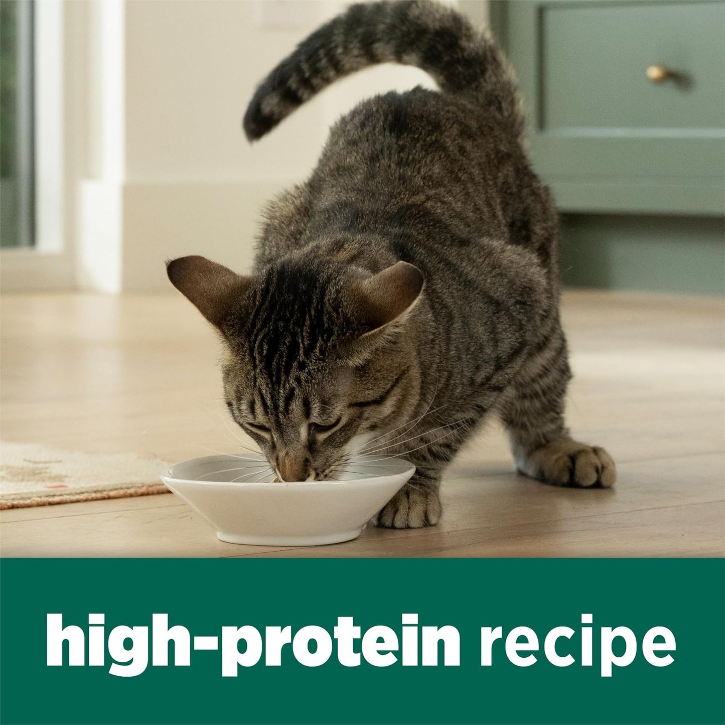HOTPurina Cat Chow Naturals With Added Vitamins, Minerals and Nutrients Dry Cat Food, Naturals Original - 13 lb. Bag
