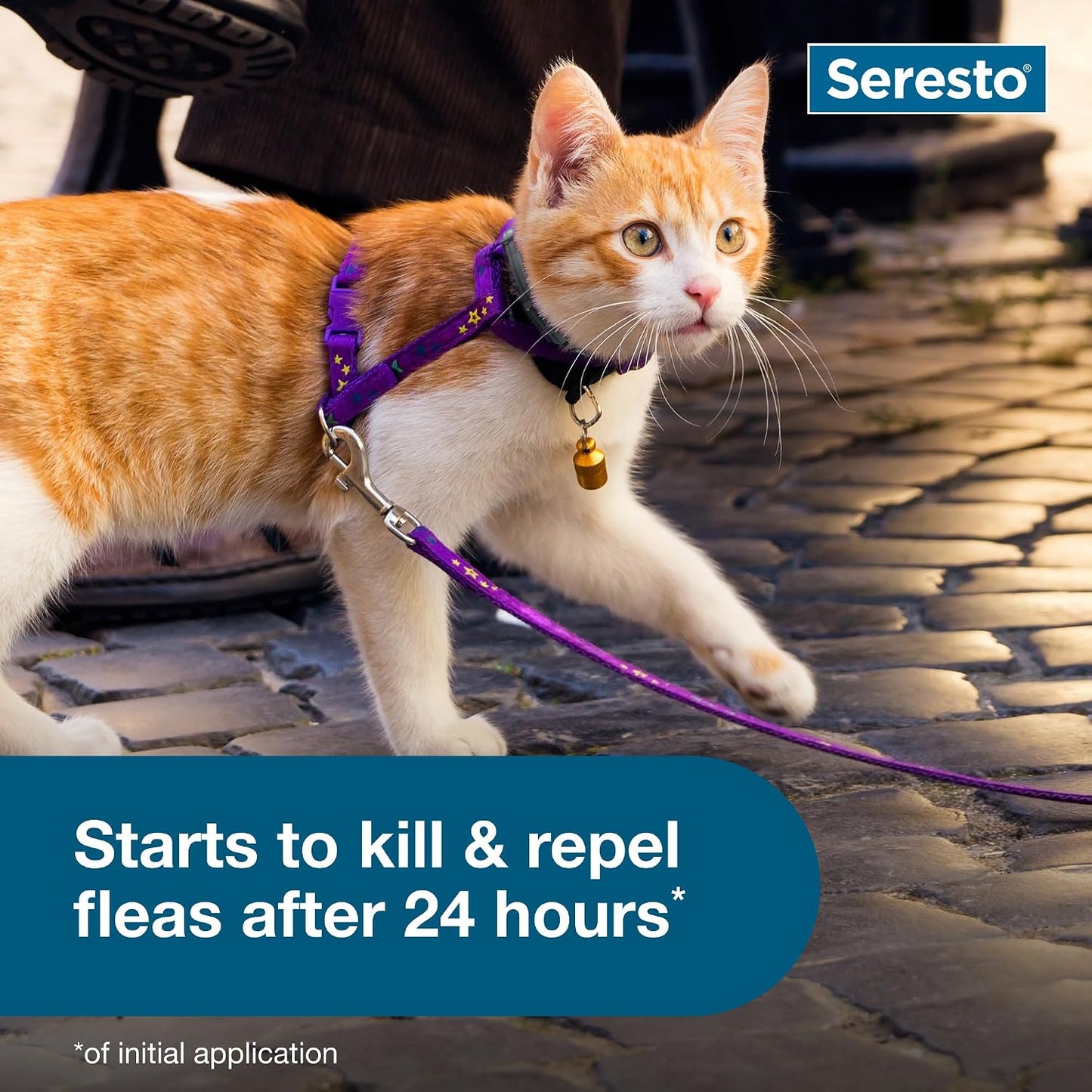 HOTSeresto Cat Vet-Recommended Flea & Tick Treatment & Prevention Collar for Cats | 8 Months Protection