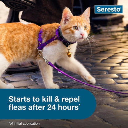 HOTSeresto Cat Vet-Recommended Flea & Tick Treatment & Prevention Collar for Cats | 8 Months Protection