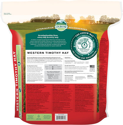 HOTOxbow Western Timothy Hay for Small Pets – All-Natural Grass Hay for Rabbits, Guinea Pigs, and Chinchillas – High Fiber for Digestive Health and Dental Support – 40 oz Bag