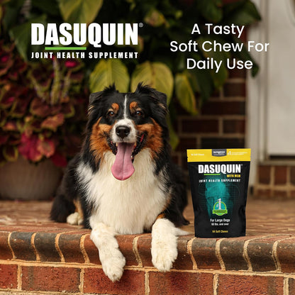 HOTNutramax Dasuquin MSM Joint Supplement for Large Dogs, Soft Chews, 84ct | Glucosamine and Chondroitin, ASU, MSM, Supports Healthy Joints, For Dogs Over 60 lbs, All Ages, Soft Chews