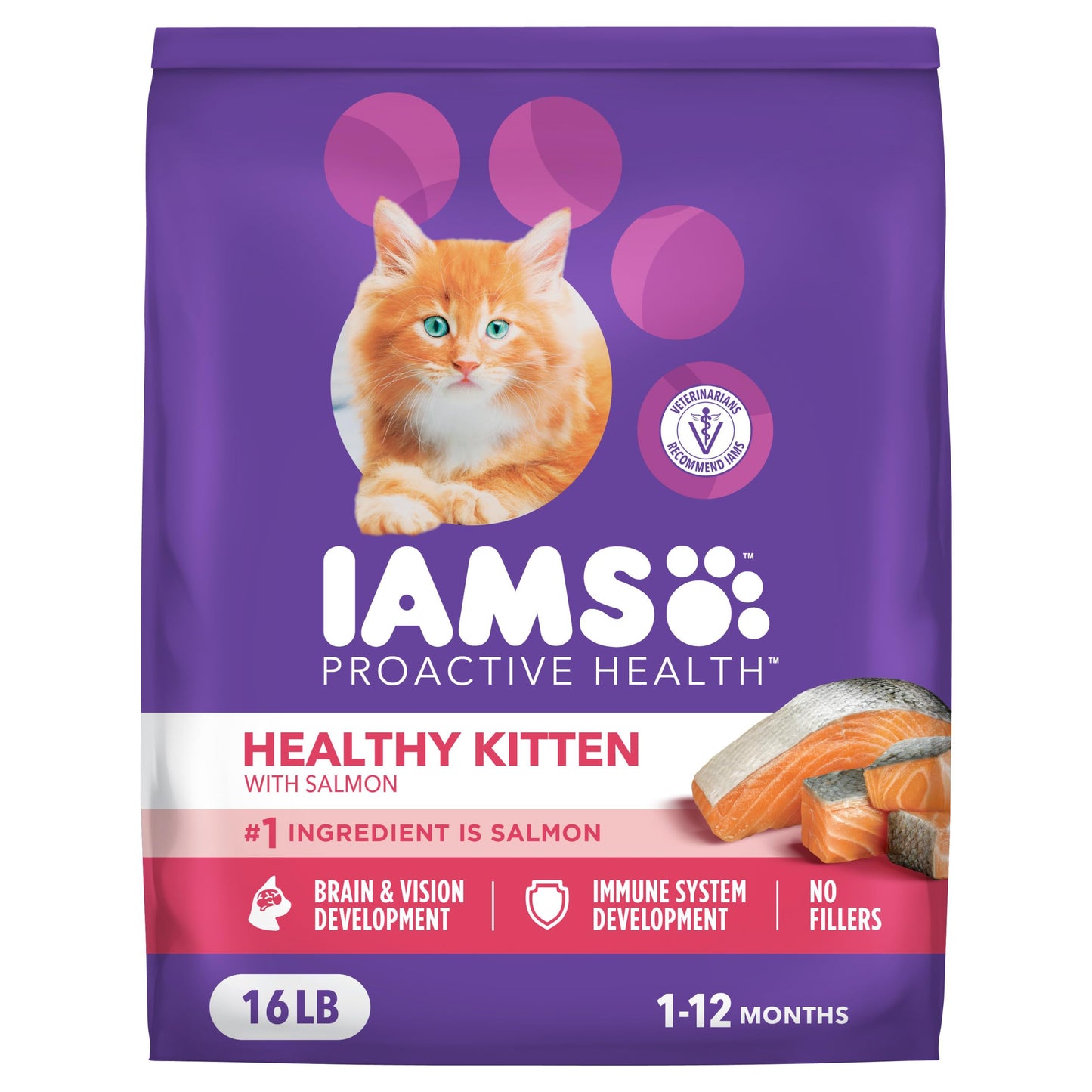 HOTIAMS Proactive Health Healthy Kitten Dry Cat Food, Chicken, 3.5 lb | Veterinarian-recommended, real chicken #1 ingredient, Omega-3 DHA & taurine, supports digestion, skin health, immune system