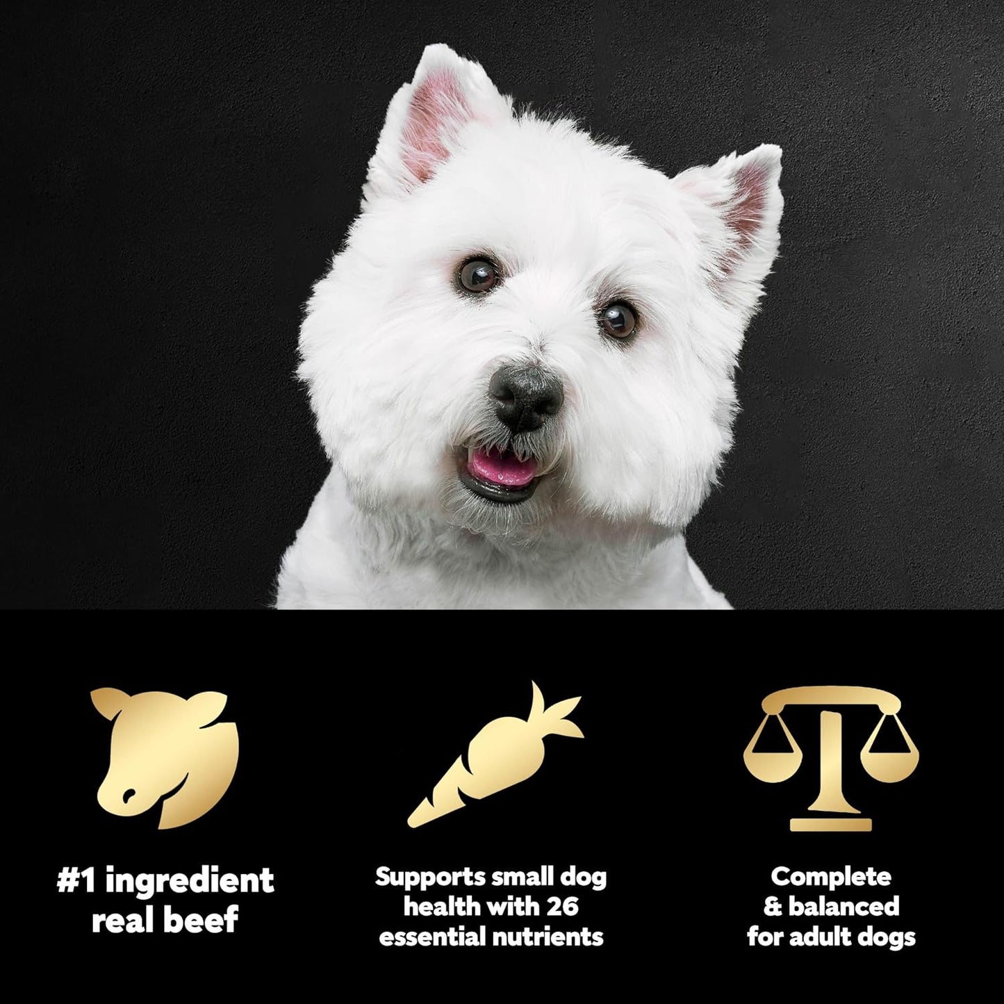 HOTCesar Small Breed Dry Dog Food, Filet Mignon & Spring Vegetables, 12 lb | Made in USA, Real beef #1 ingredient, 26 essential nutrients, supports small breed health, no artificial flavors