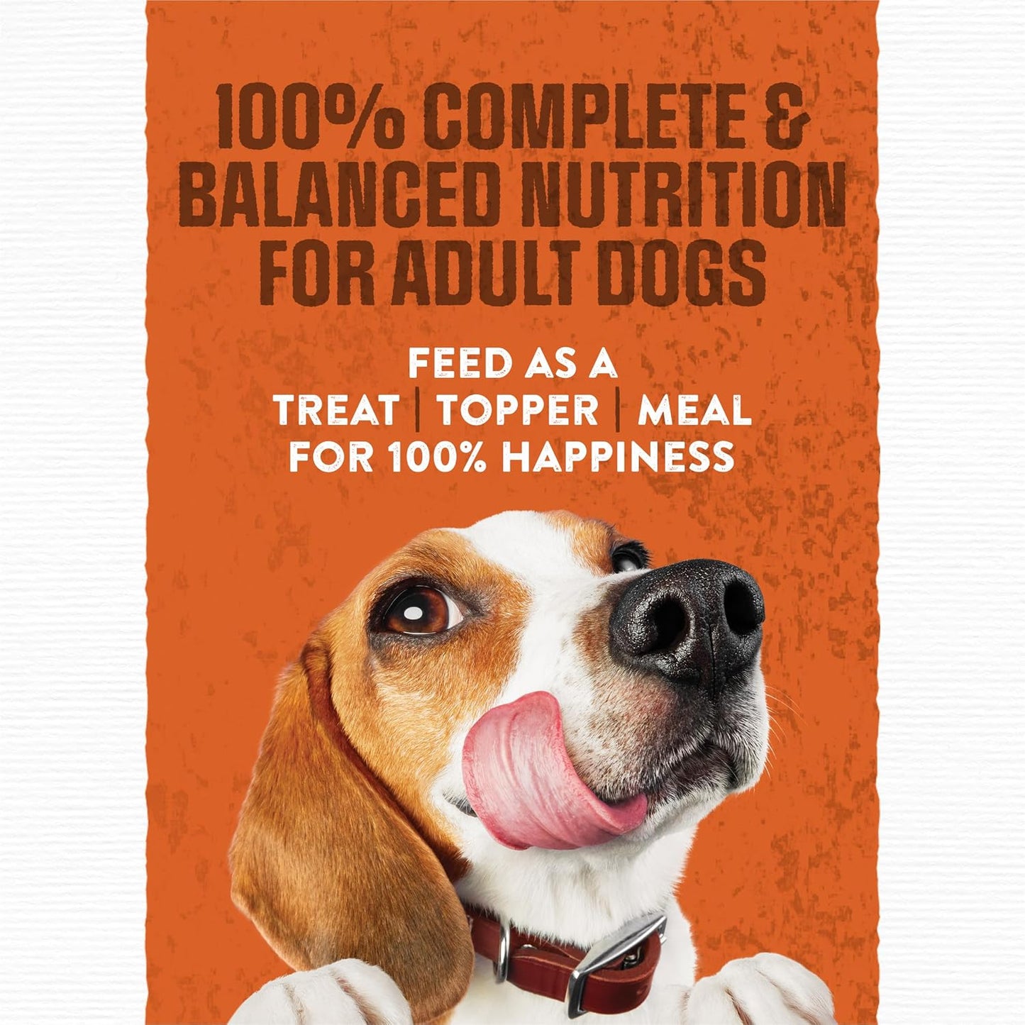 HOTPurina Moist and Meaty Burger With Cheddar Cheese Flavor Dry Soft Dog Food Pouches - 36 ct. Pouch