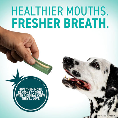 HOTORAVET Dental Chews for Dogs, Oral Care and Hygiene Chews (Medium Dogs, 25-50 lbs.) Purple Pouch, 30 Count | VOHC-accepted dual-action chew reduces plaque & tartar, freshens breath barrier vet-recommended purple pack