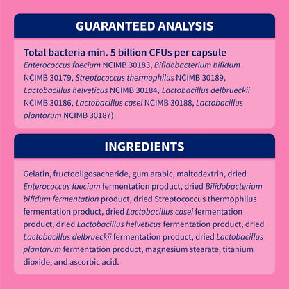 HOTNutramax Proviable Probiotics for Dogs and Cats, Daily Digestive Health Supplement with Multiple Strains of Bacteria, Cat and Dog Probiotics Plus Prebiotics, 80 Capsules
