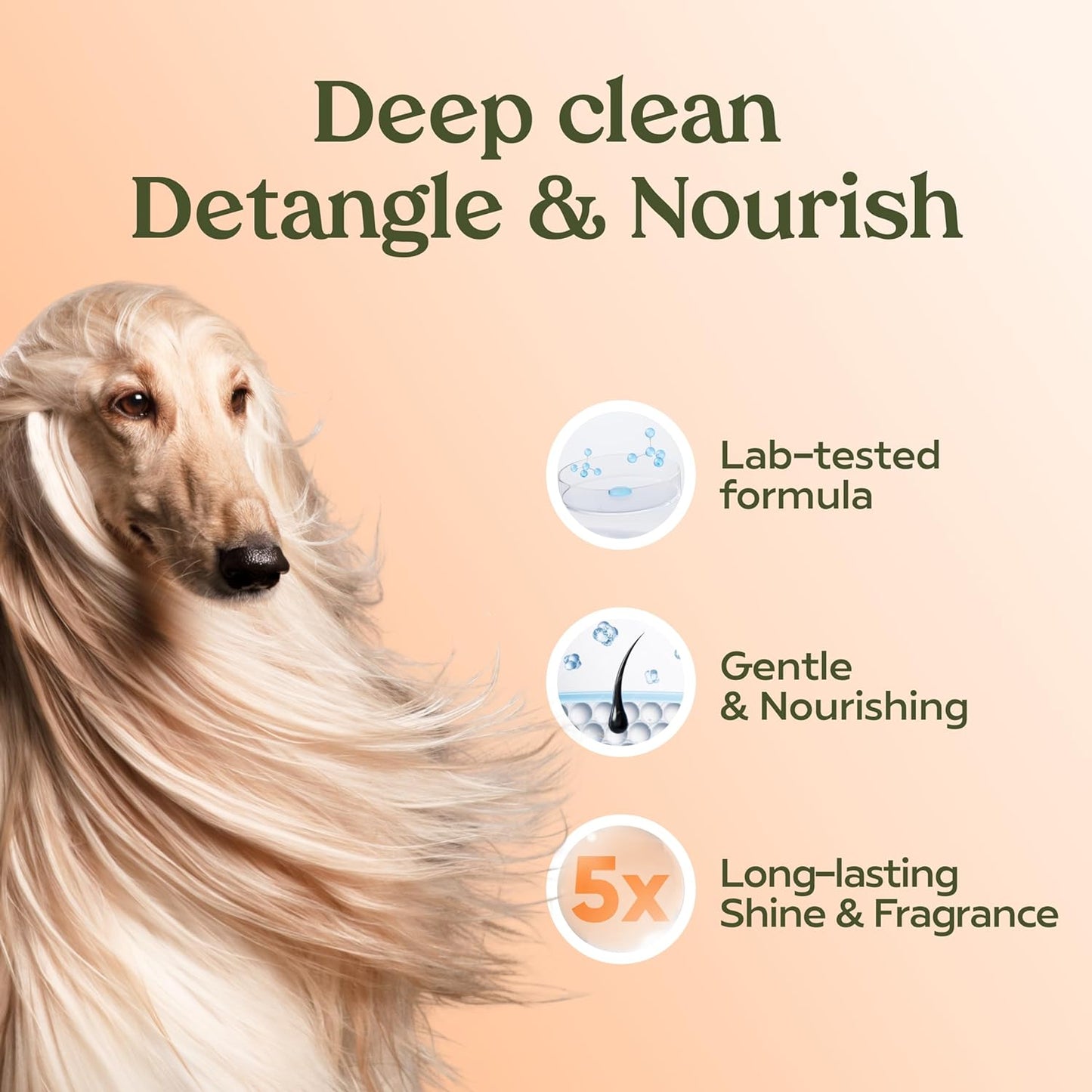 HOTPAWFUME Deshedding Dog Shampoo and Conditioner, Show Dog, 1-Pack – Nourish & Detangle for Silky Soft Coat – Probiotic, Deep-Cleaning, pH-Balanced Formula – Salon-Quality Shampoo for Dogs