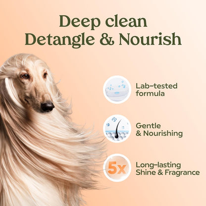 HOTPAWFUME Deshedding Dog Shampoo and Conditioner, Show Dog, 1-Pack – Nourish & Detangle for Silky Soft Coat – Probiotic, Deep-Cleaning, pH-Balanced Formula – Salon-Quality Shampoo for Dogs