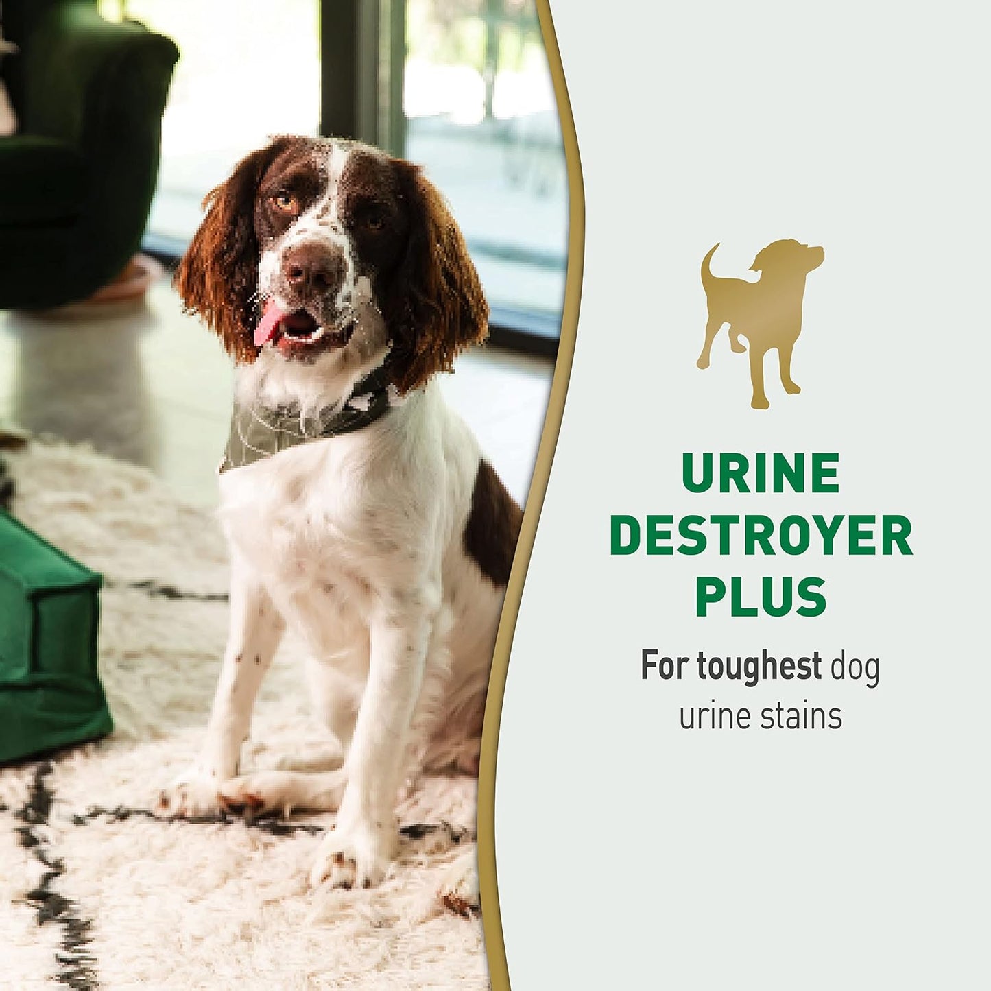 HOTNature's Miracle Urine Destroyer Plus for Dogs, Enzymatic Formula for Severe Dog Urine Stains, 32 oz