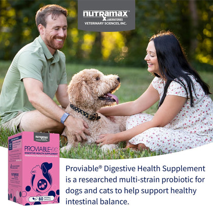 HOTNutramax Proviable Probiotics for Dogs and Cats, Daily Digestive Health Supplement with Multiple Strains of Bacteria, Cat and Dog Probiotics Plus Prebiotics, 80 Capsules