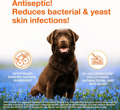 HOTDouxo S3 PYO Medicated Dog Mousse - Bacterial & Yeast Infection Treatment | Chlorhexidine for Dogs; Waterless Shampoo, Antibacterial & Antiseptic, for Dogs Only, Clinically Proven, 5 fl oz