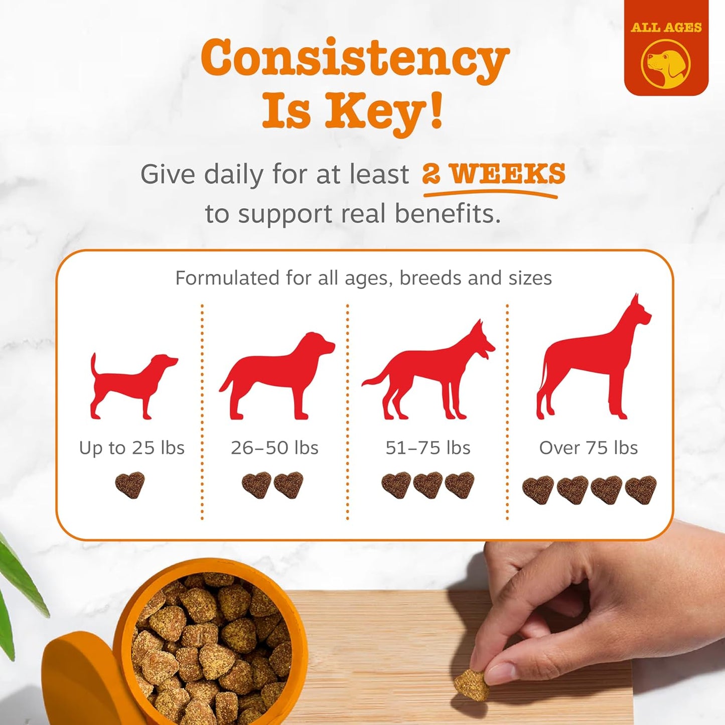 HOTZesty Paws Allergy Immune Bites - Dog Allergy Chews, Dog Probiotics for Itchy Skin and Ears, Peanut Butter, 90ct