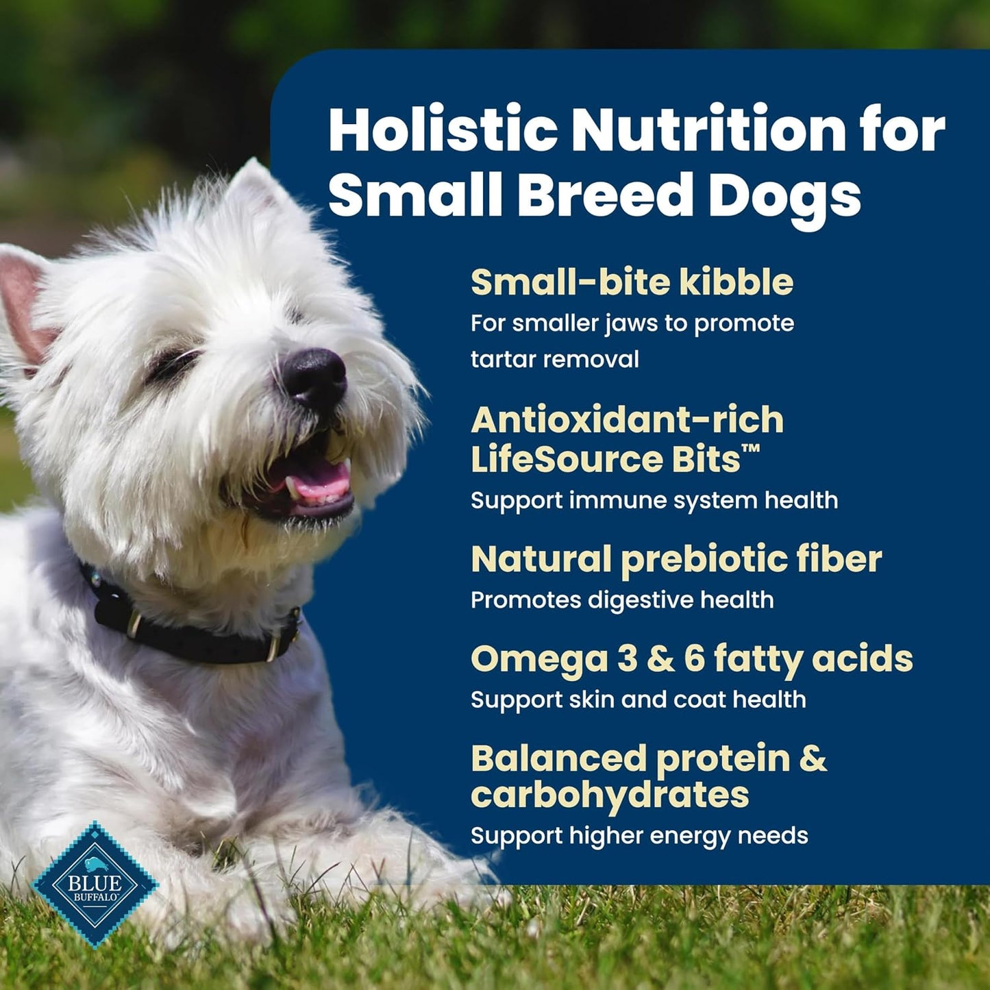 HOTBlue Buffalo Life Protection Formula Chicken Small Breed Dry Dog Food, 5 lb | Real Chicken #1 Ingredient, Antioxidant-Rich LifeSource Bits, Supports Higher Energy Needs, Formulated for Small Breed Dogs