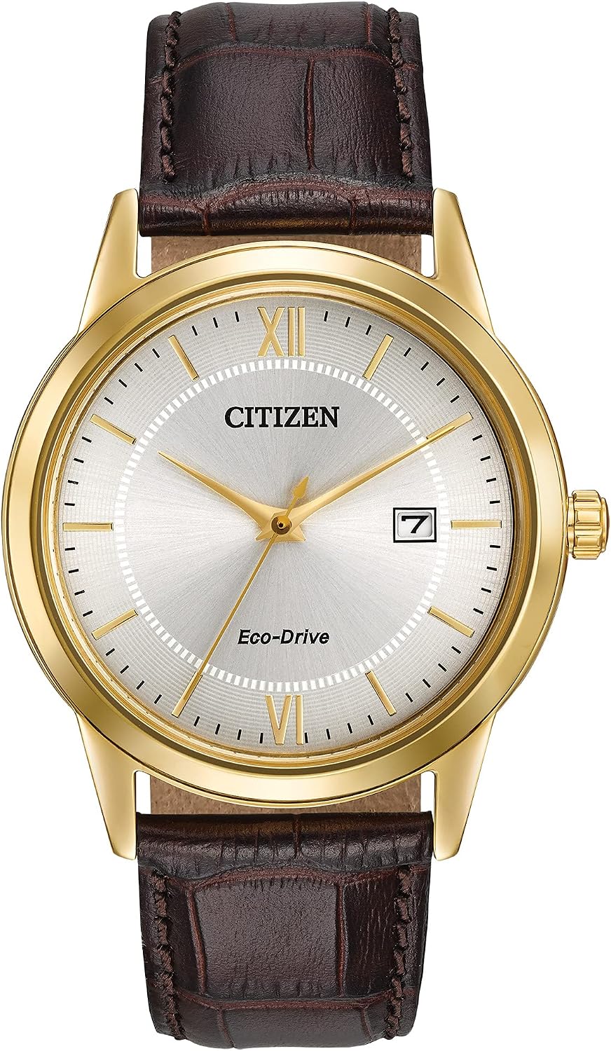 HOTCitizen Men's Classic Eco-Drive Leather Strap Watch, 3-Hand Date